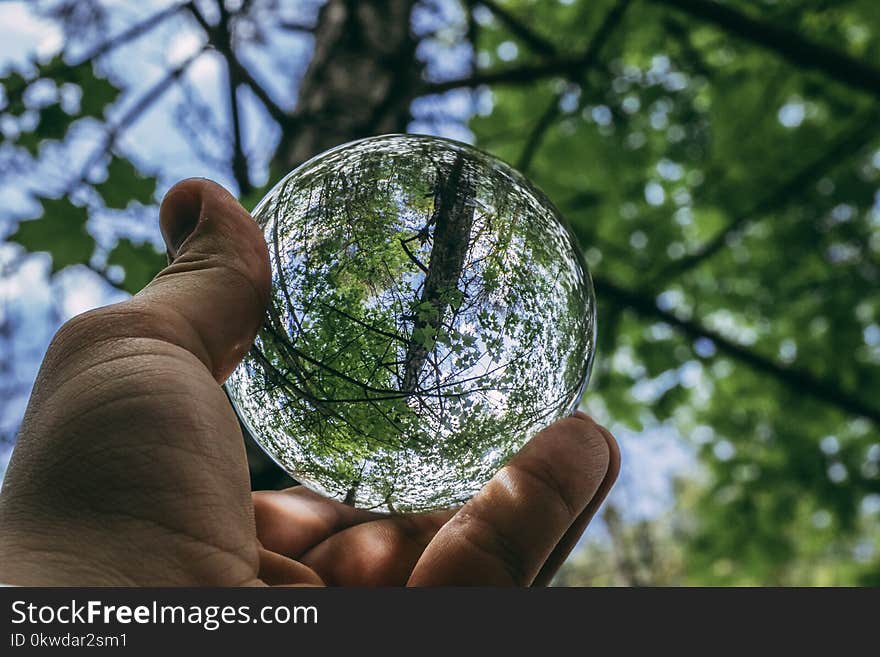 Water Globe Photography of Green Leaf Tree