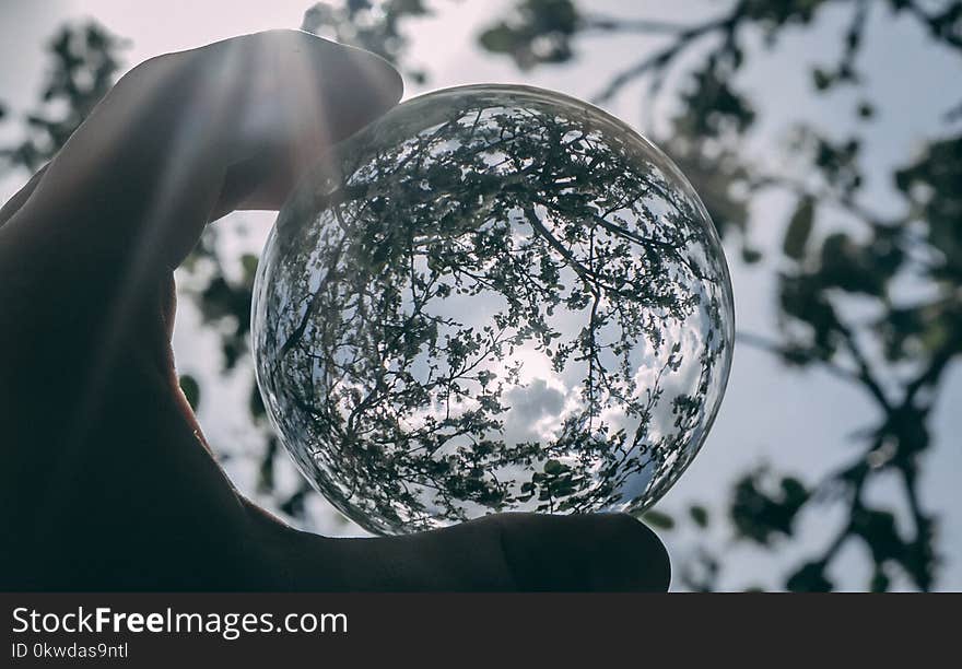 Grayscale Photography of Clear Glass Ball