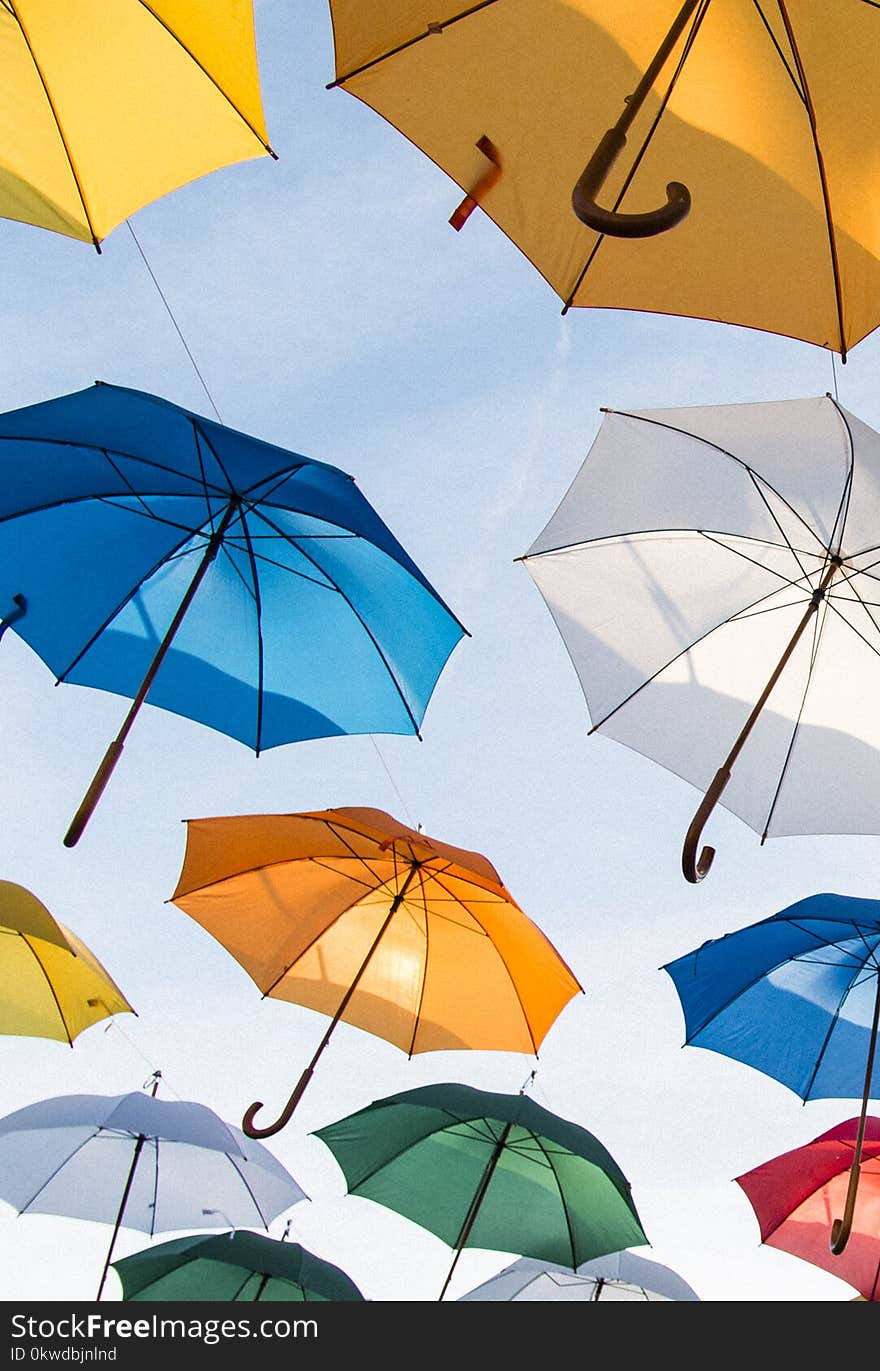 Assorted-color Umbrella Lot