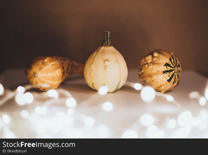 Selective Focus Photography of Three Gourd Vegetables