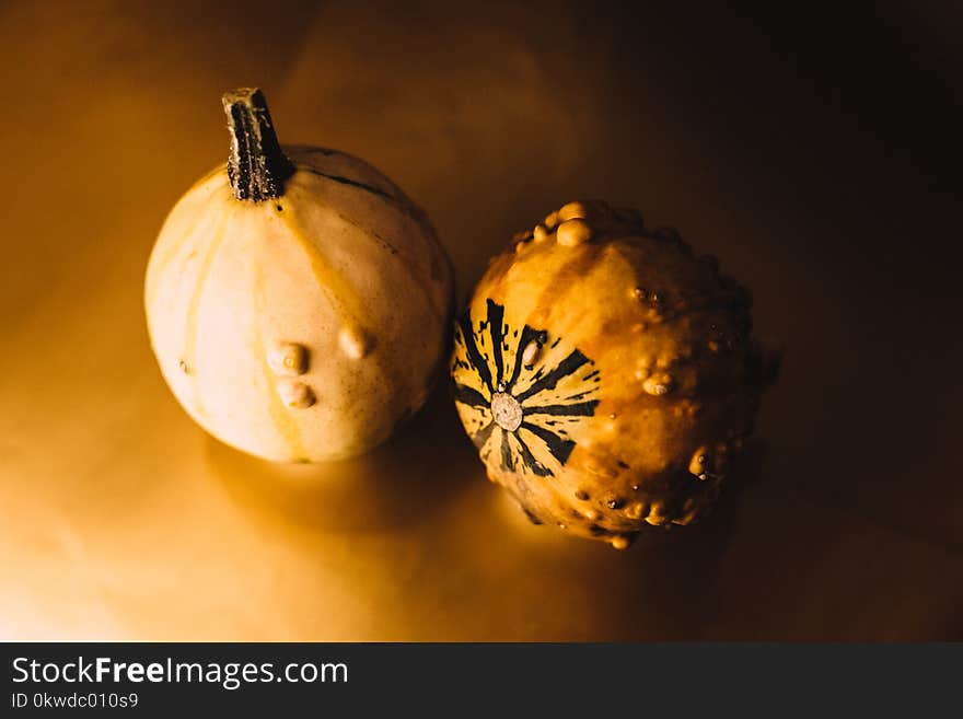 Two Round Brown Fruits