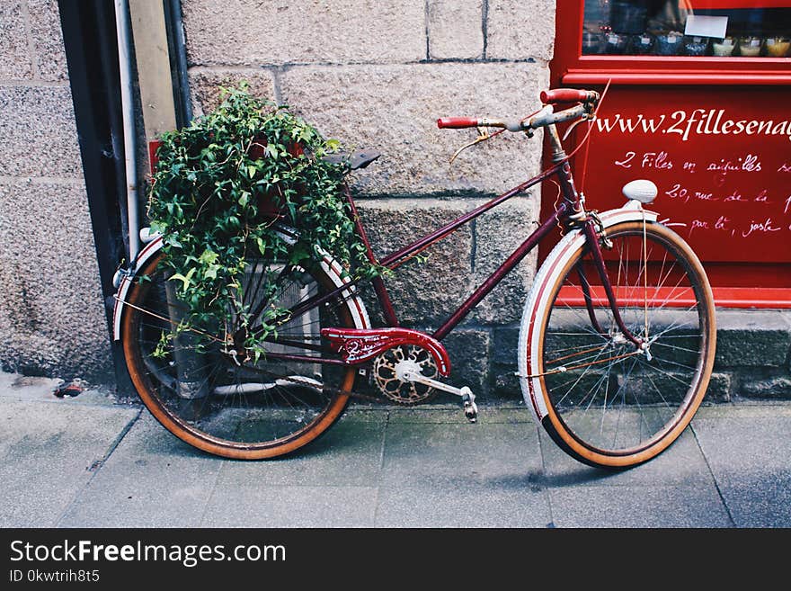 Red Mountain Bicycle in Front of Gray Wall