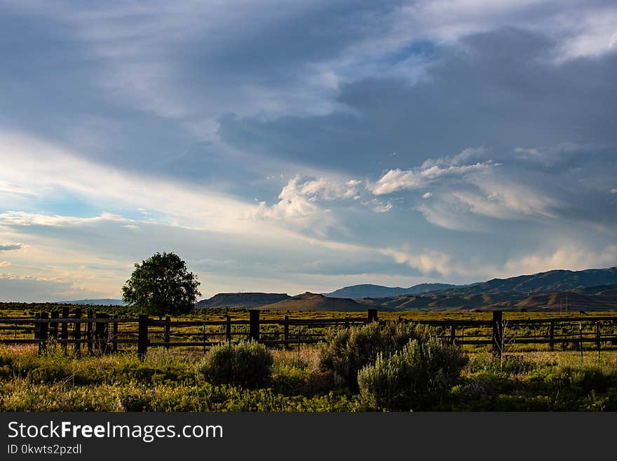 Green Field Under Gray Clouds