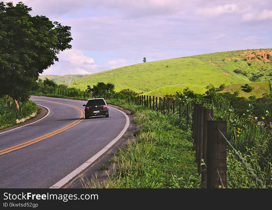 Black Vehicle on Road Near Green Leaf Plants