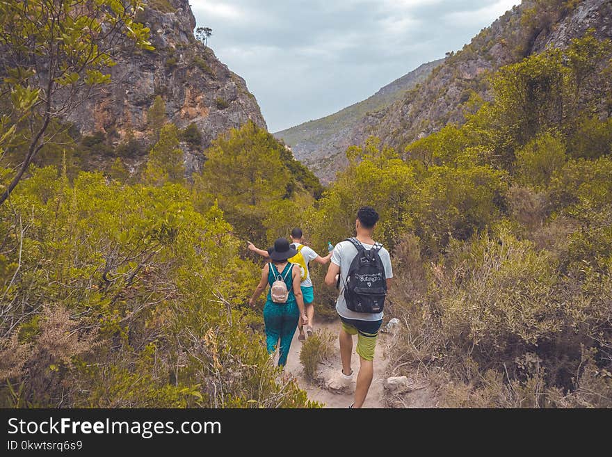 Two Men and Woman Walking Surrounded by Mountain and Trees