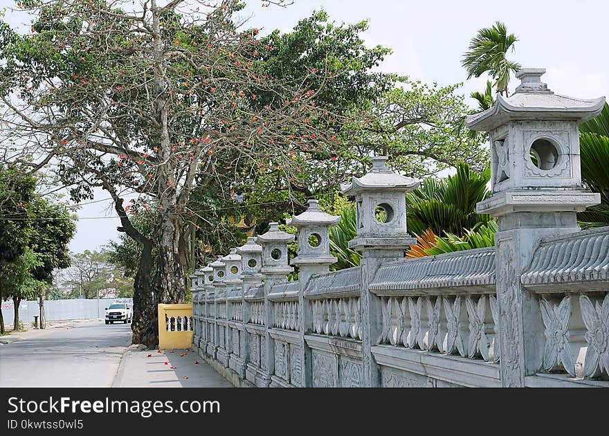 Green-leafed Tree Beside Gray Concrete Baluster