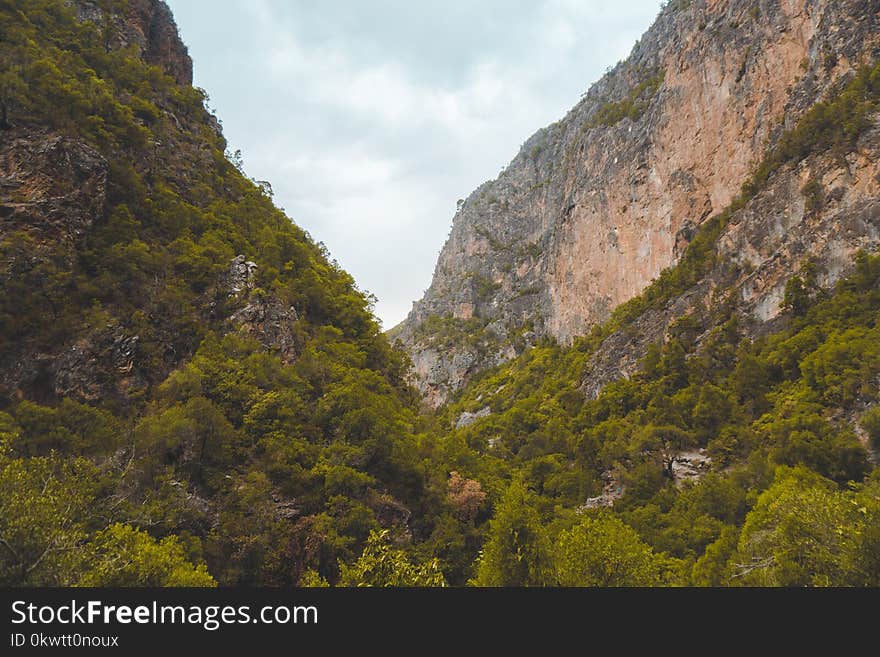 Green Trees on Rock Formation Mountain