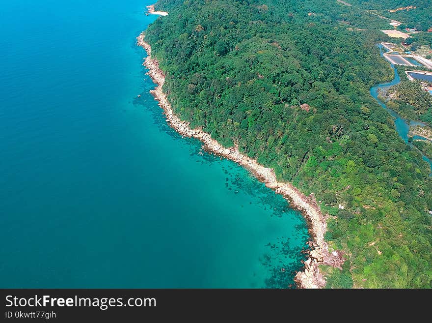 Aerial Photography of Trees Near Body of Water