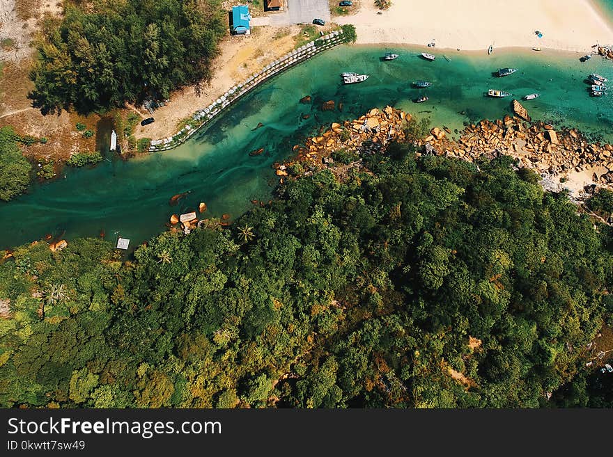 Aerial Photography of Body of Water and Trees