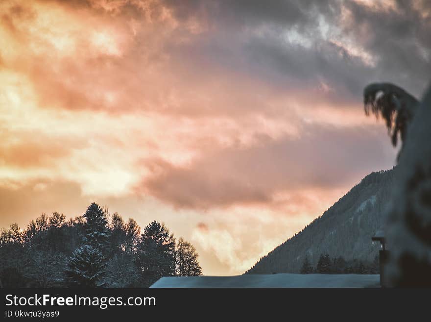 Mountain Surrounded by Trees