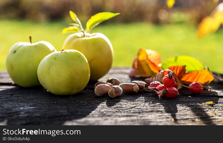 Fresh garden apples and nuts on an old stump. Fresh garden apples and nuts on an old stump.