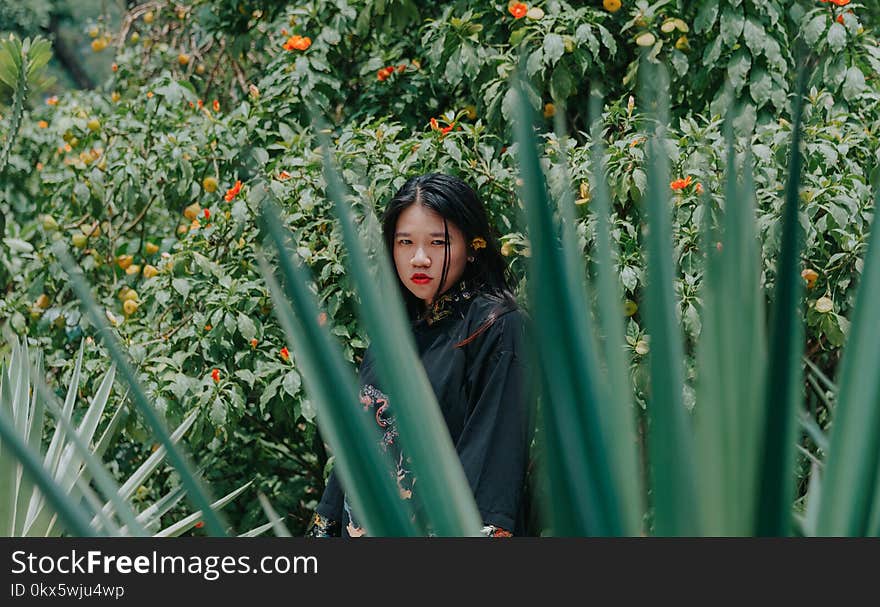 Shallow Focus Photography of Asian Woman