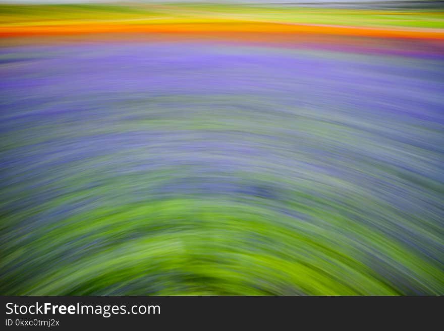 Abstract motion blur colorful flowers on the field