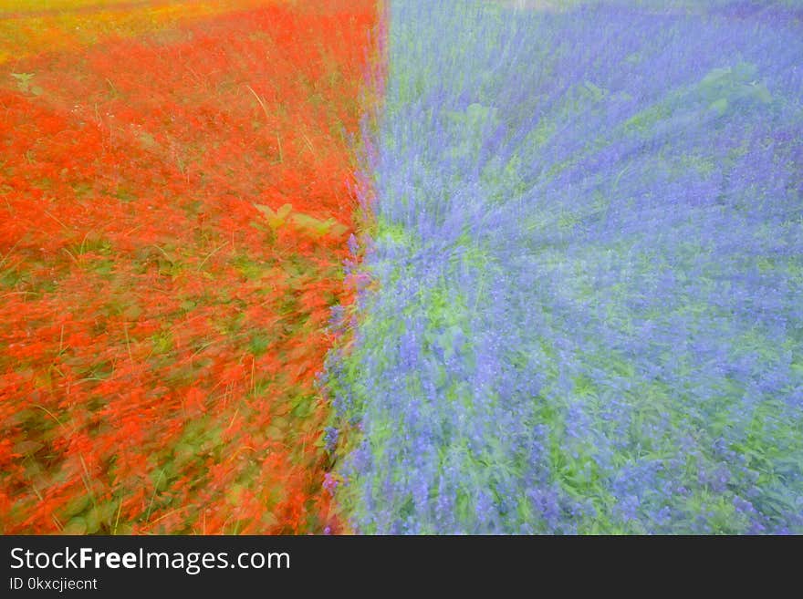 Abstract motion blur colorful flowers on the field