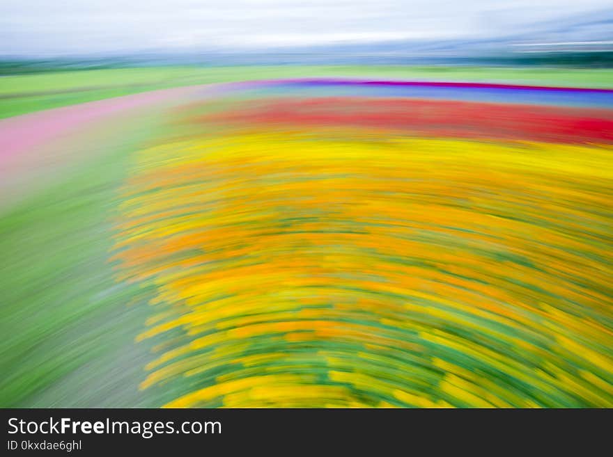 Abstract motion blur colorful flowers on the field