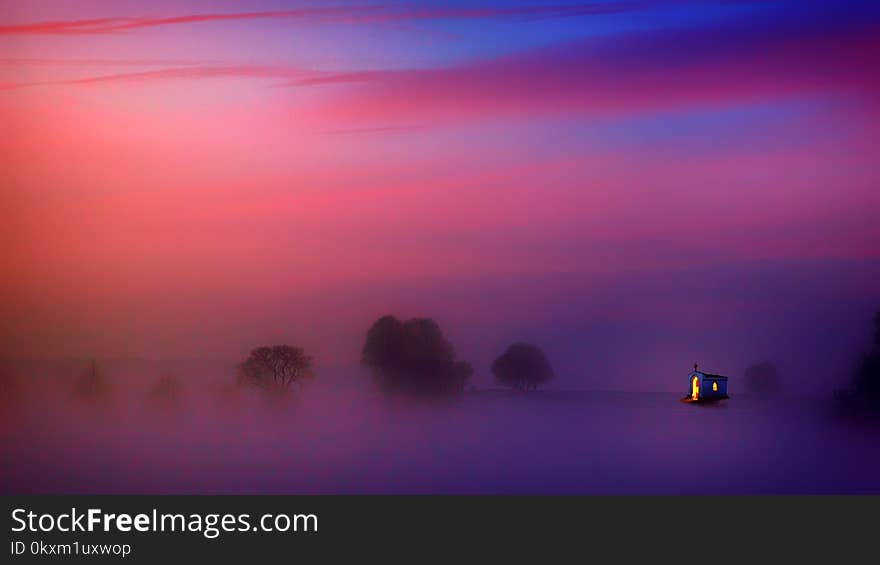 Photography of Trees Covered with Fog