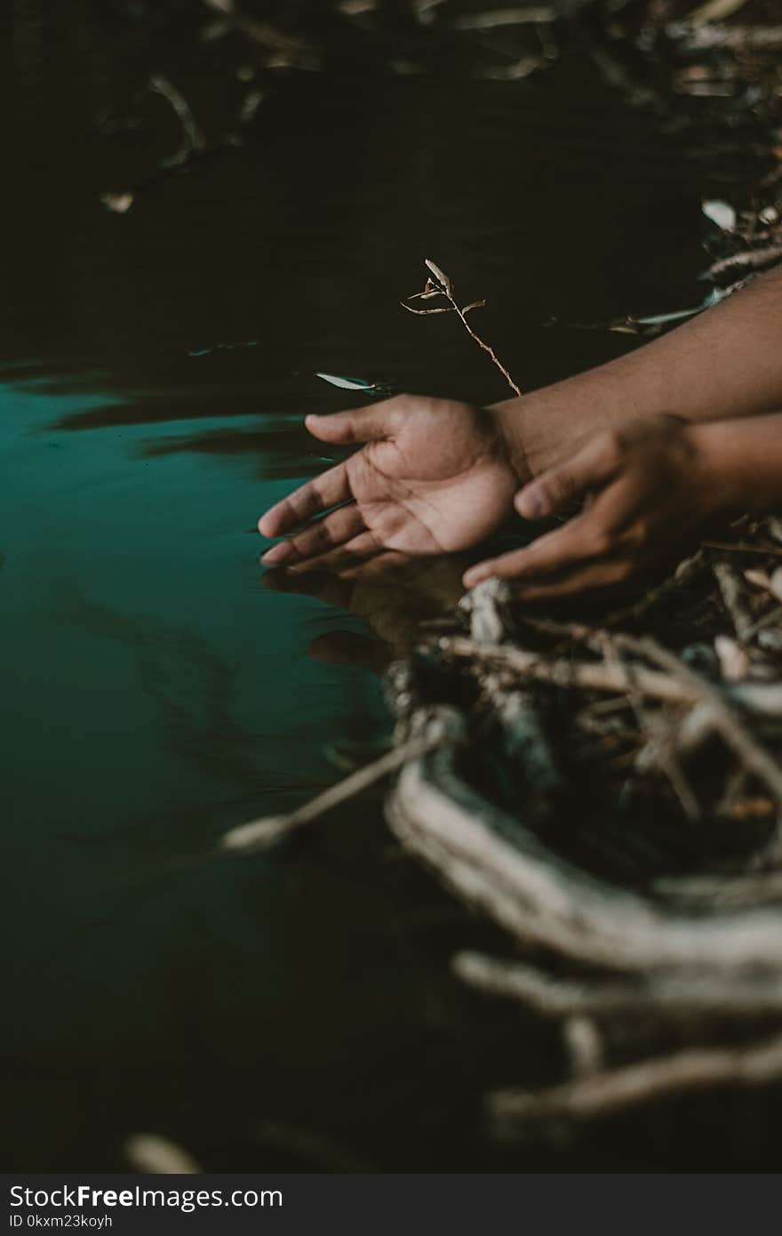 Person&#x27;s Hands on Body of Water