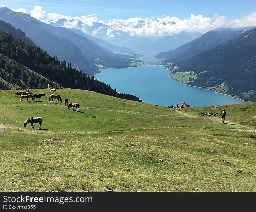 Grassland, Pasture, Mountainous Landforms, Mountain Range