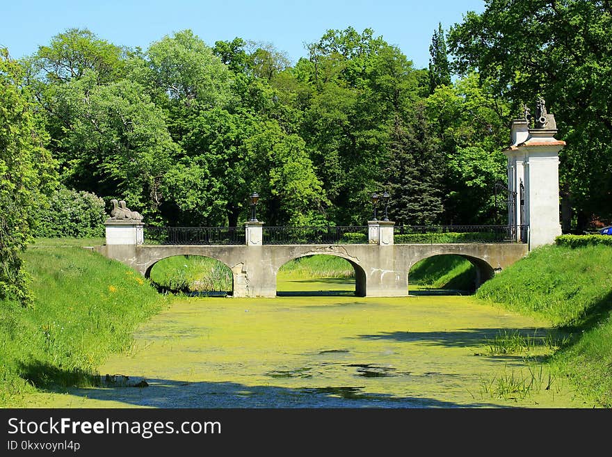 Green, Nature, Waterway, Water