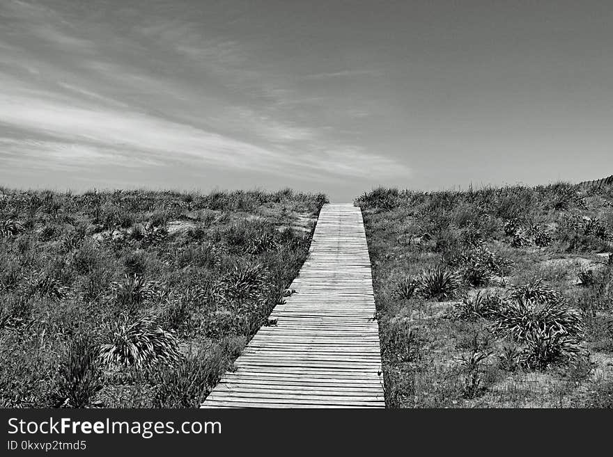 Sky, Black And White, Cloud, Monochrome Photography