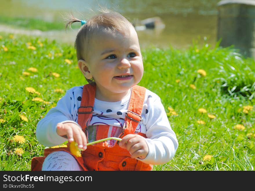 Child, Toddler, Grass, Play