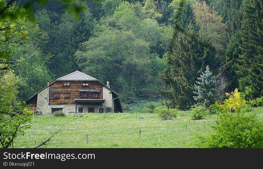 Ecosystem, Nature Reserve, Wilderness, Vegetation