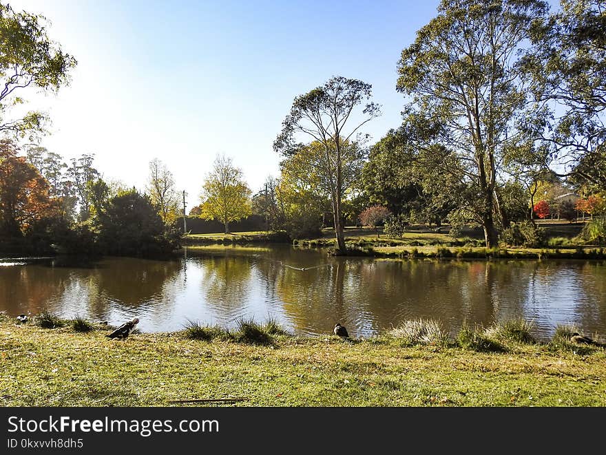 Reflection, Water, Waterway, Nature