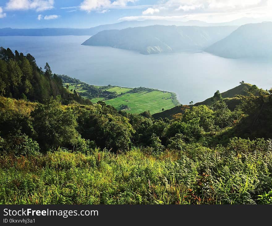 Highland, Vegetation, Nature Reserve, Mount Scenery