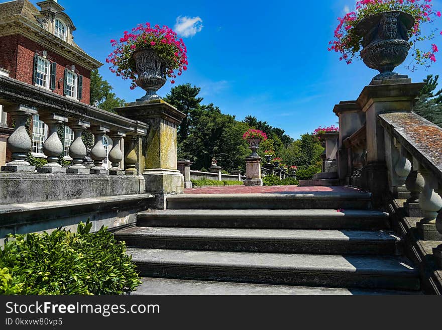 Sky, Plant, Tree, Tourist Attraction