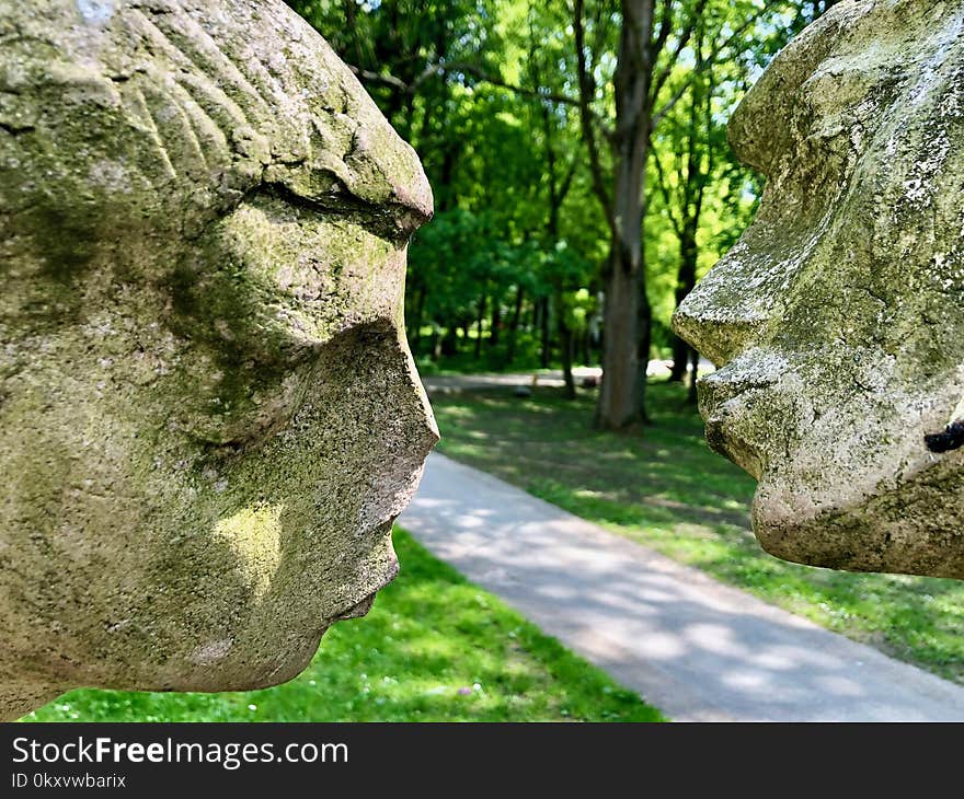 Rock, Tree, Grass, Boulder