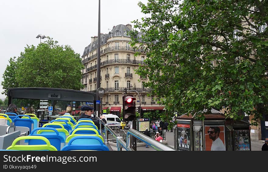 Transport, Tree, City, Plant