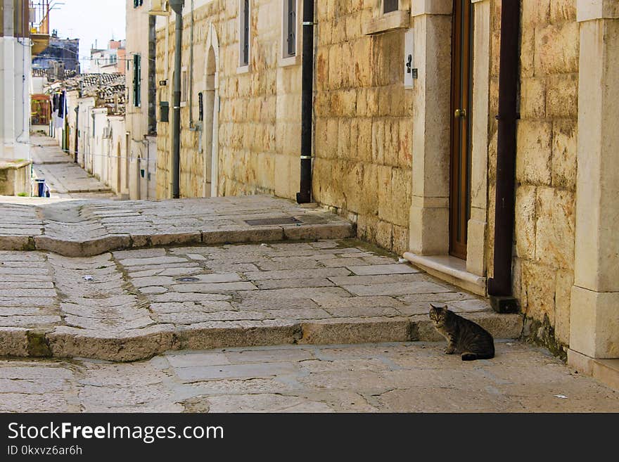 Wall, Facade, Street, Window