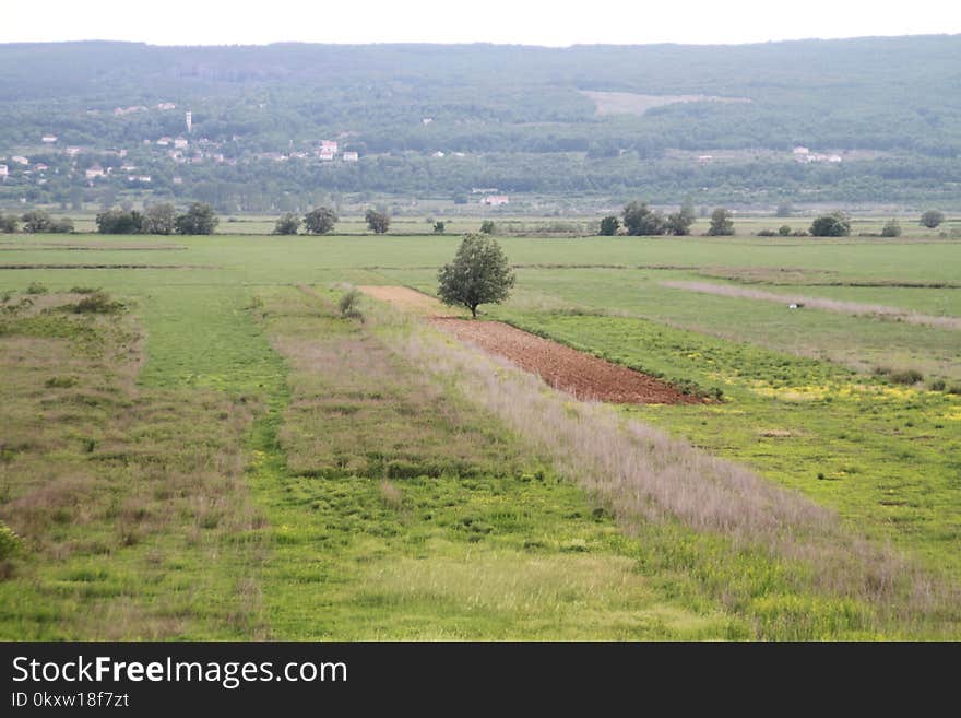 Grassland, Pasture, Plain, Nature Reserve