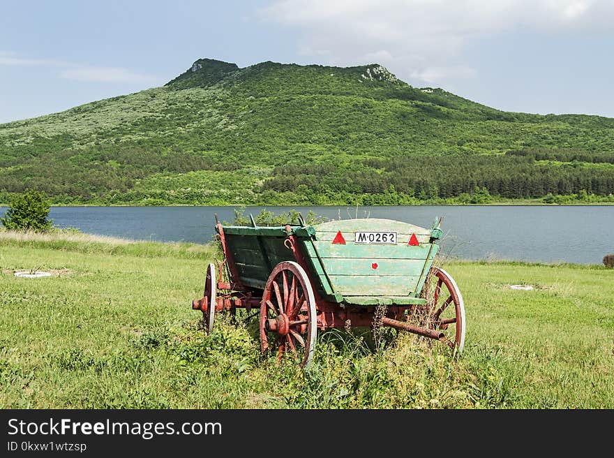 Grassland, Rural Area, Grass, Field