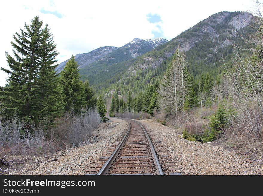 Track, Transport, Wilderness, Path