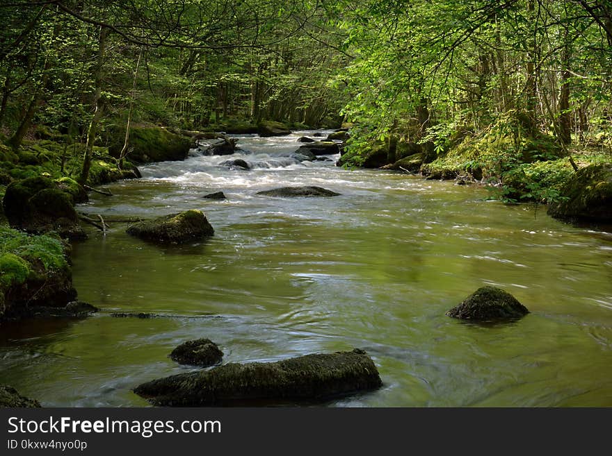 Stream, Water, River, Nature