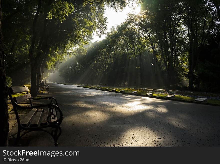 A banch in a morning park in Bulgaria. A banch in a morning park in Bulgaria