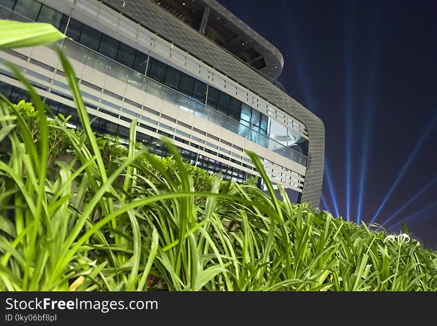 The Building Sinking in a Green Grass, Night Scene, Nov.2016. The Building Sinking in a Green Grass, Night Scene, Nov.2016