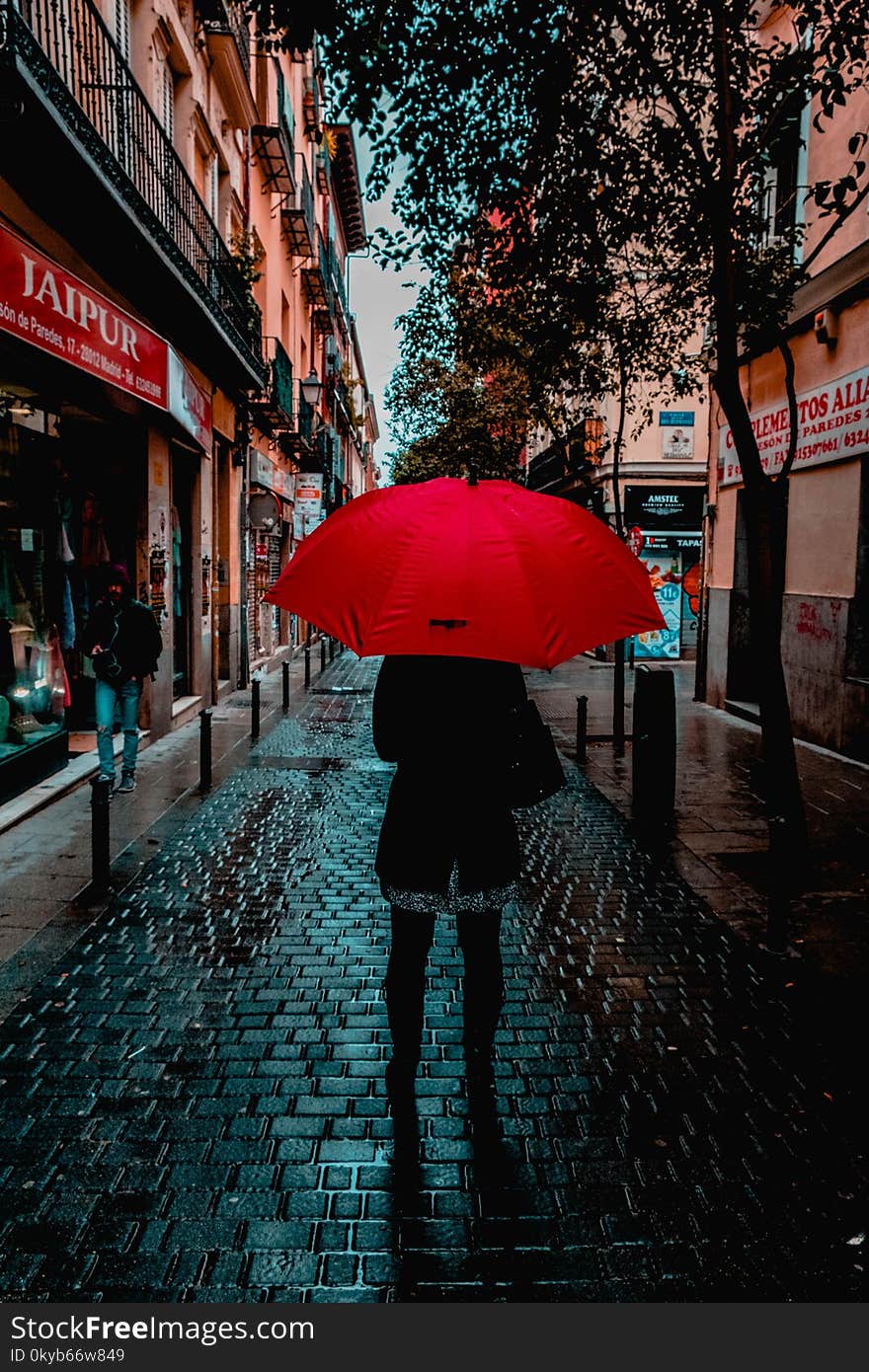 Photo of Person Holding Red Umbrella