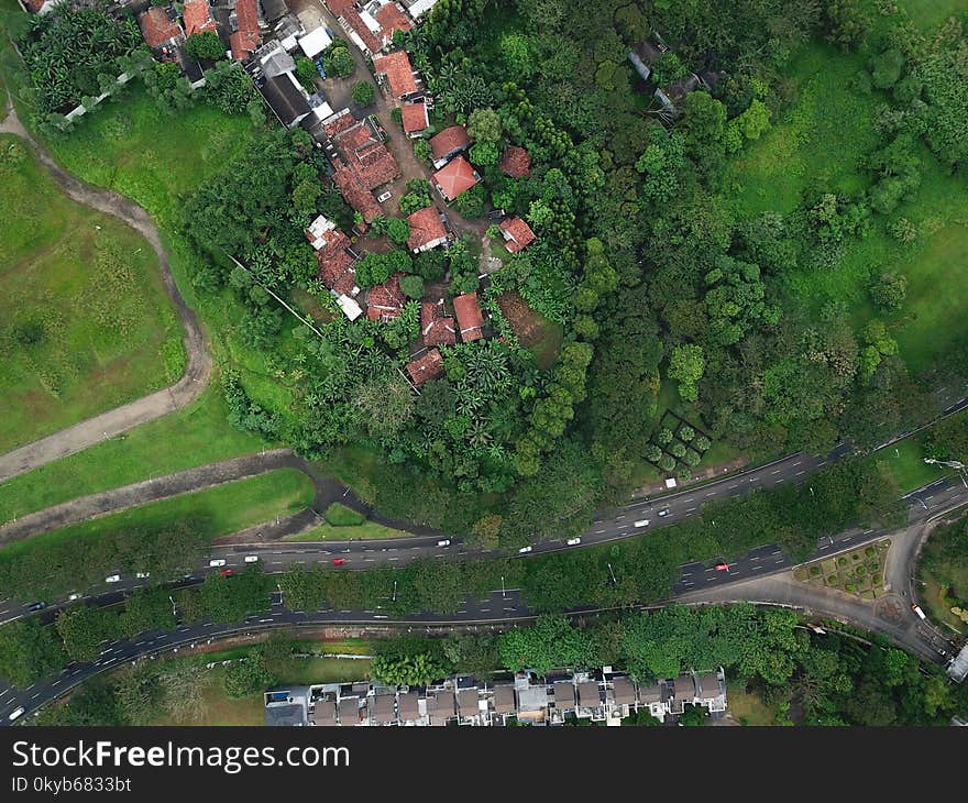 Bird&#x27;s Eye View OfHouses Surrounded By Trees