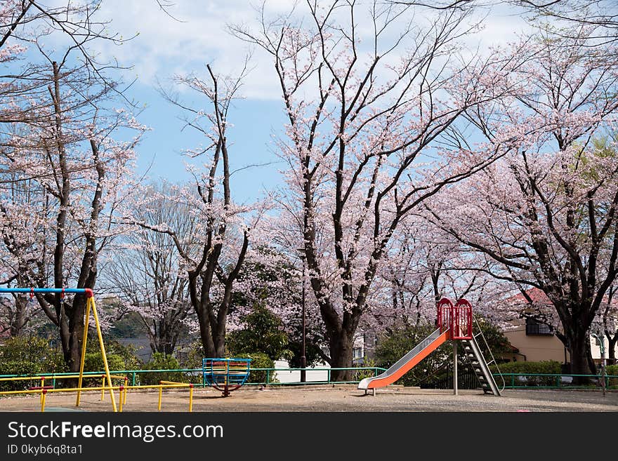 Photography of Playground