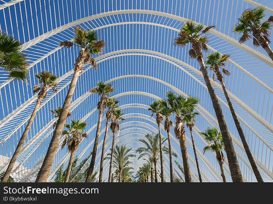 Green Leafed Trees Under White Metal Roofings