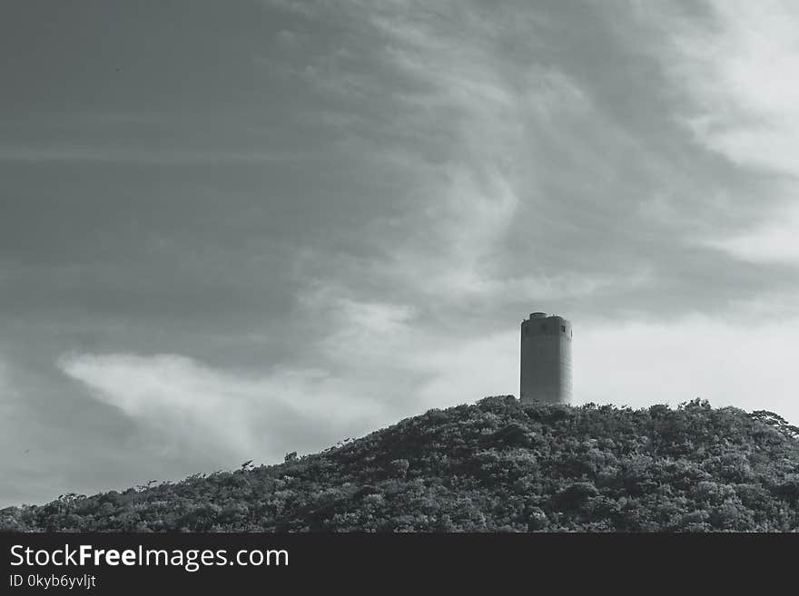 Grayscale Photography of Tower Surrounded by Trees