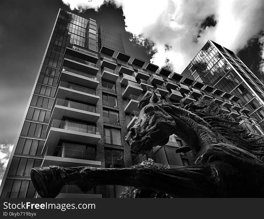 Worm&#x27;s Eye View Photography of Horse and Building