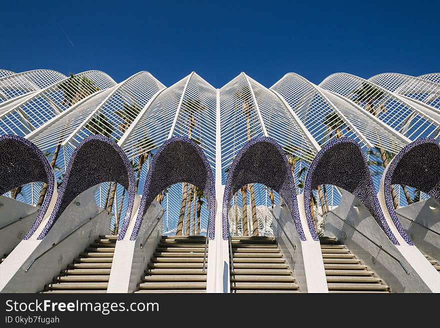 Close-up Photography of Purple and White Concrete Stair Stepper