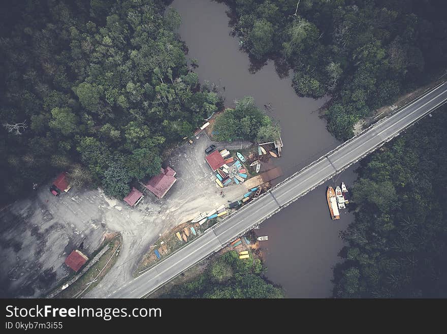 Aerial View of the Bridge