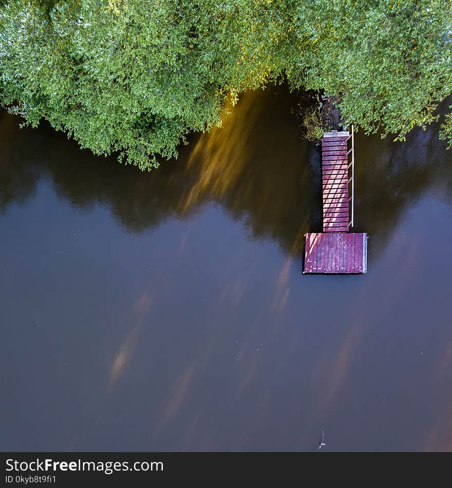 View From Above On A Wooden Bridge, Lake And Green Trees