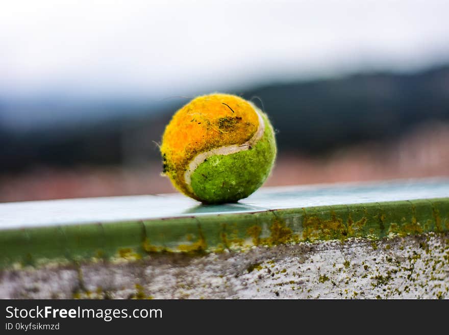 Close Up, Tennis Ball, Orange, Grass