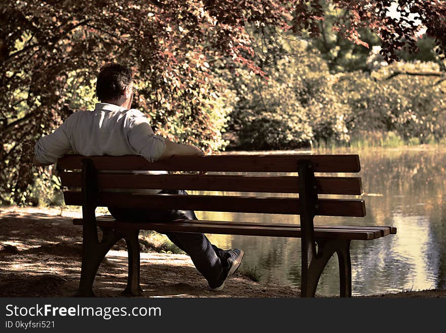 Nature, Photograph, Sitting, Plant