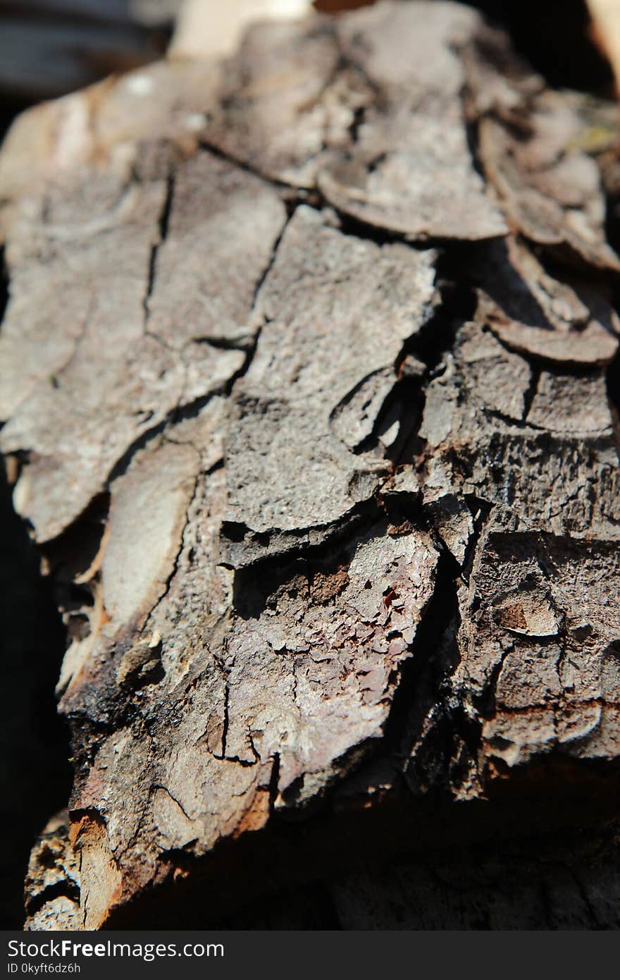 Rock, Soil, Wood, Geology